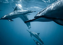 五星体育电脑版-赛点 | 计划再次有变！中国队挺进U23亚洲杯决赛！